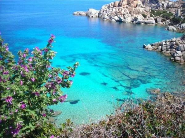 Casa Vacanze Pas Santa Teresa Gallura Eksteriør bilde